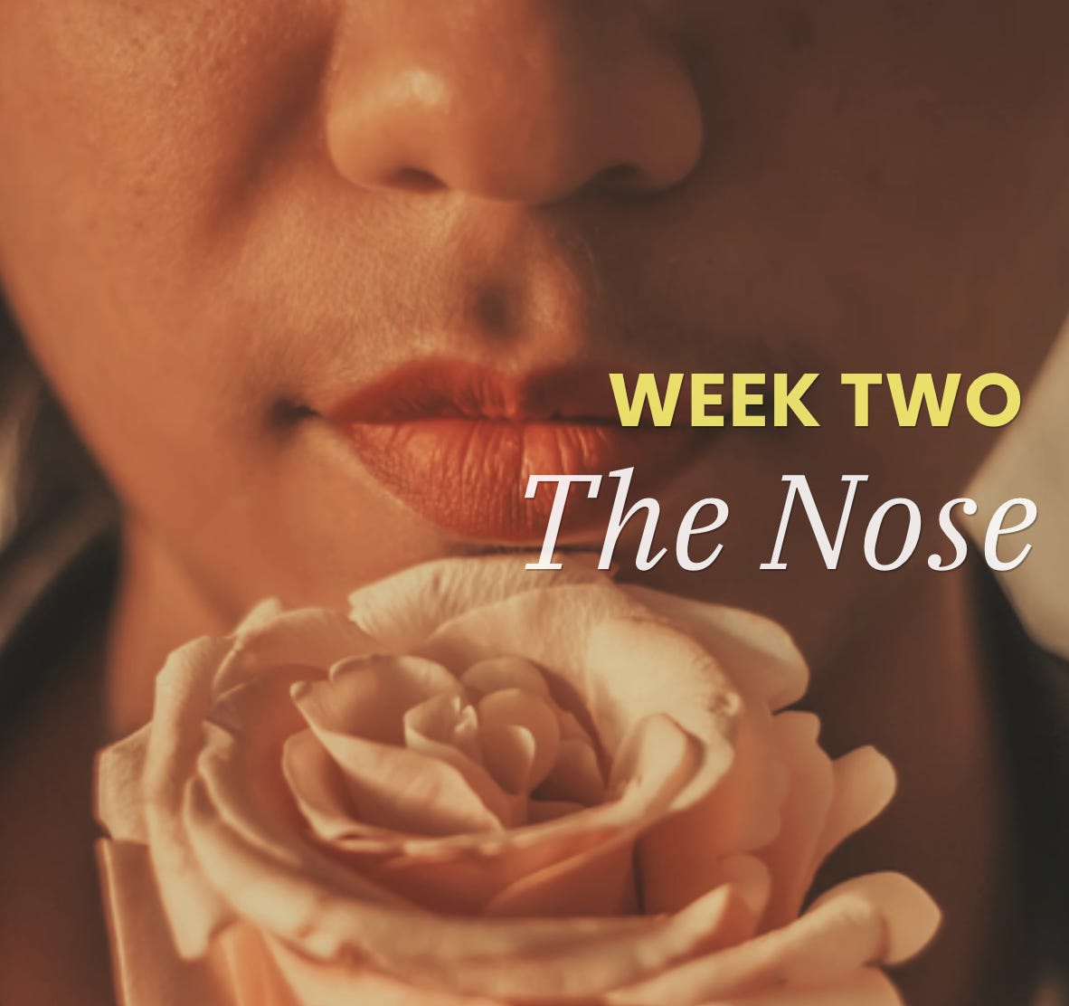 Week 2 · Day 3 — The Nose
