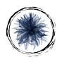 Butterfly Blues's avatar