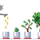 Investitore Intelligente Newsletter