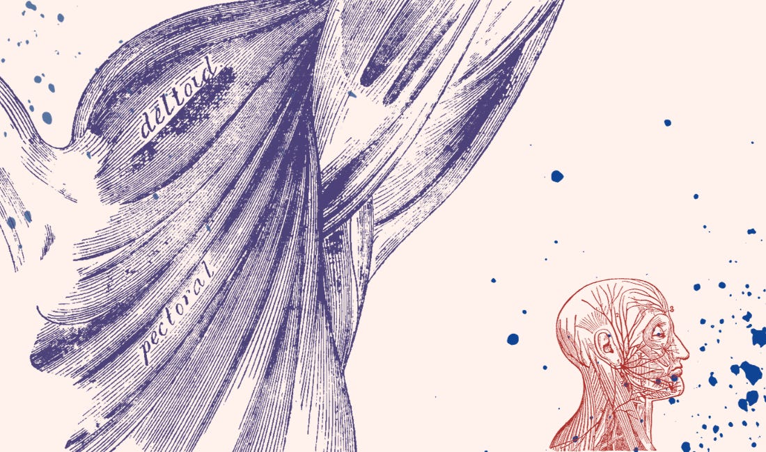 Nos domínios da maromba