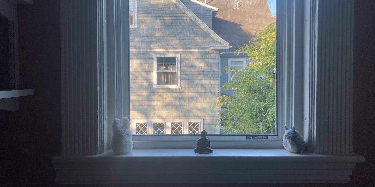 Zen Diary: A Bird List Grows in Brooklyn