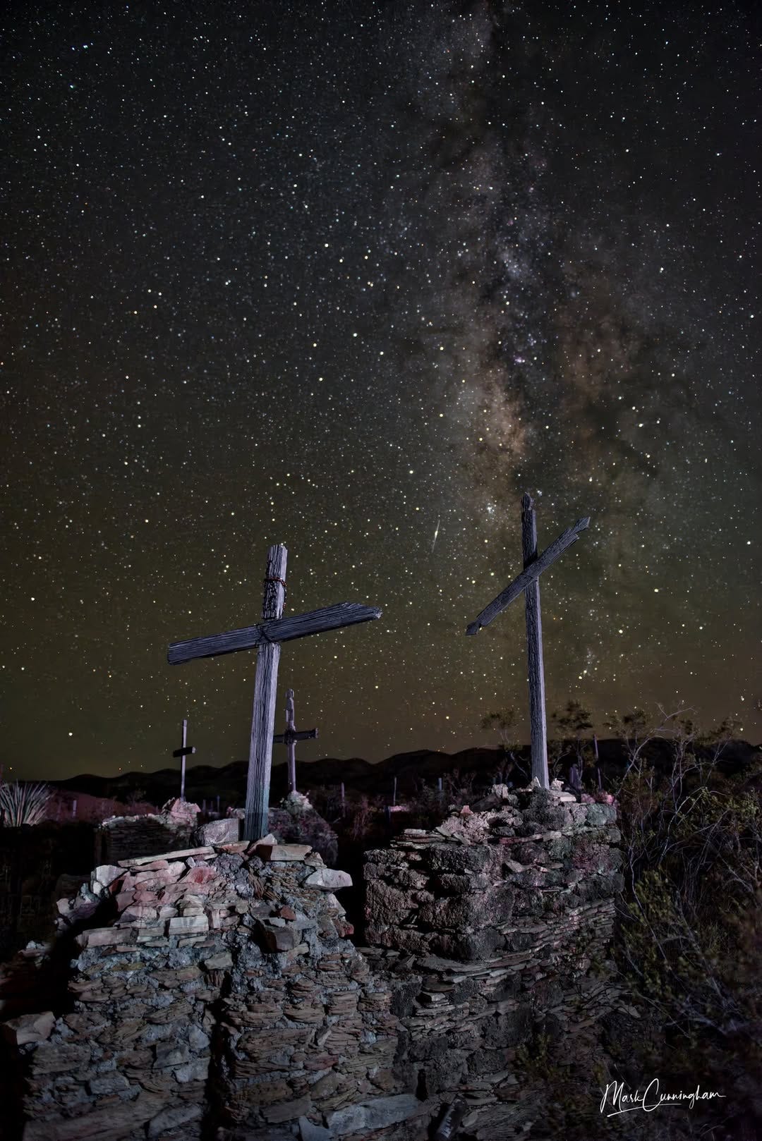 A group of crosses in a field

Description automatically generated
