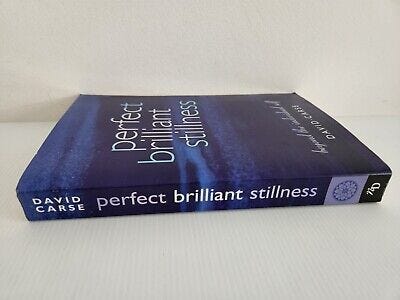 Perfect Brilliant Stillness Paperback David Carse, Beyond the Individual  Self | eBay Australia