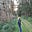Susan Thorsell's avatar