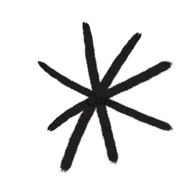 Notes of an Amateur Investor