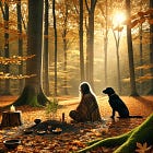 Releasing Like the Earth: What Nature Teaches Us About Letting Go & Renewal