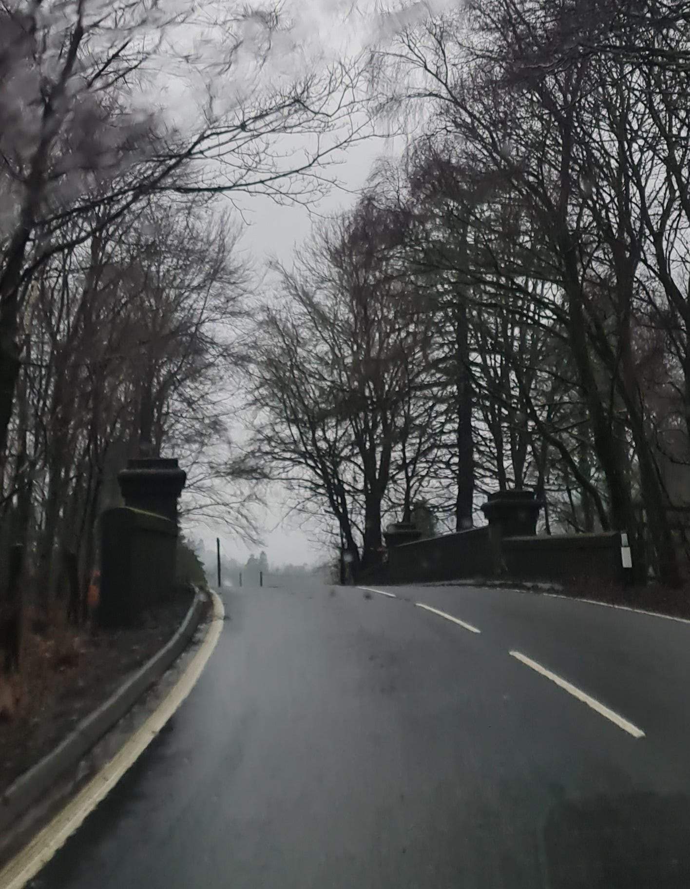 Photograph taken looking at the road ahead from a moving car. There are trees with bare  branches. The sky is dark grey and there are patches of rain on the windscreen.