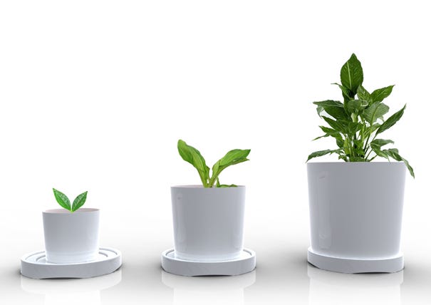 SQL Azure growth and updates