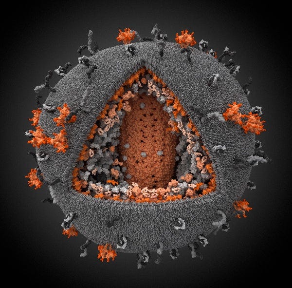 Prize-winning 3-D digital simulation of an HIV particle | Scientific  American