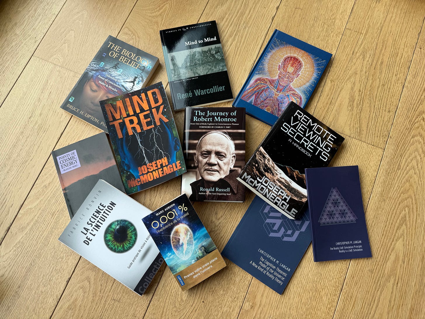 Books about OBEs, remote viewing, consciousness and nature of reality