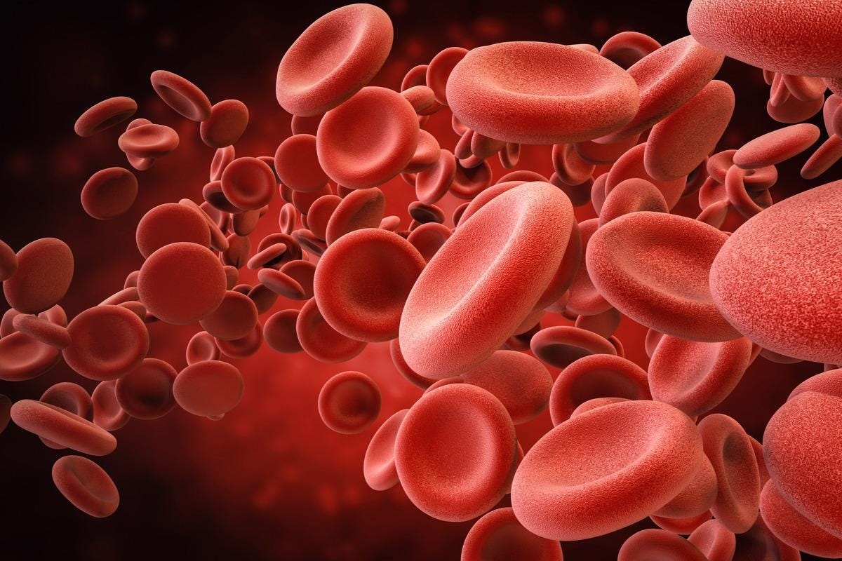 The Immunological Functions of Red Blood Cells