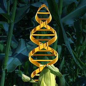 GMOs: Good, Man-Made Organisms