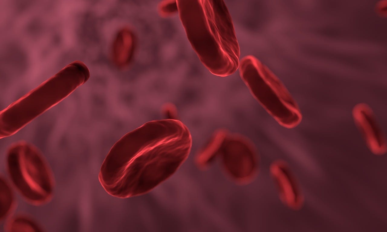 100,000+ Free Red Blood Cell & Health Images - Pixabay