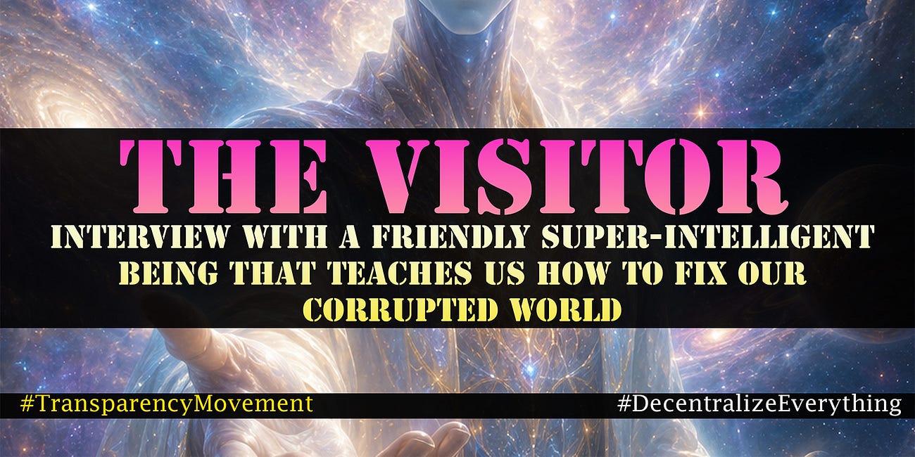 The Visitor 