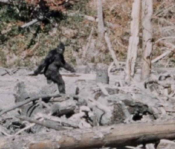 8584-911-call-bigfoot 8584-911-call-bigfoot