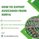 The Avocado Paradox: Breaking Kenya’s Green Gold Out of the Commodity Trap