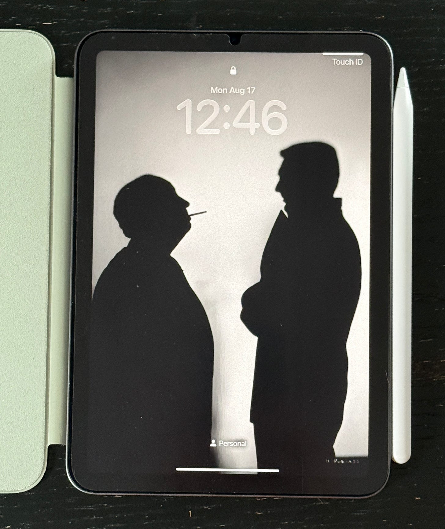 The iPad mini was rationalized successfully The iPad mini was rationalized successfully