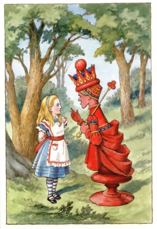 The Red Queen Garden Of Wild Flowers Alice ...
