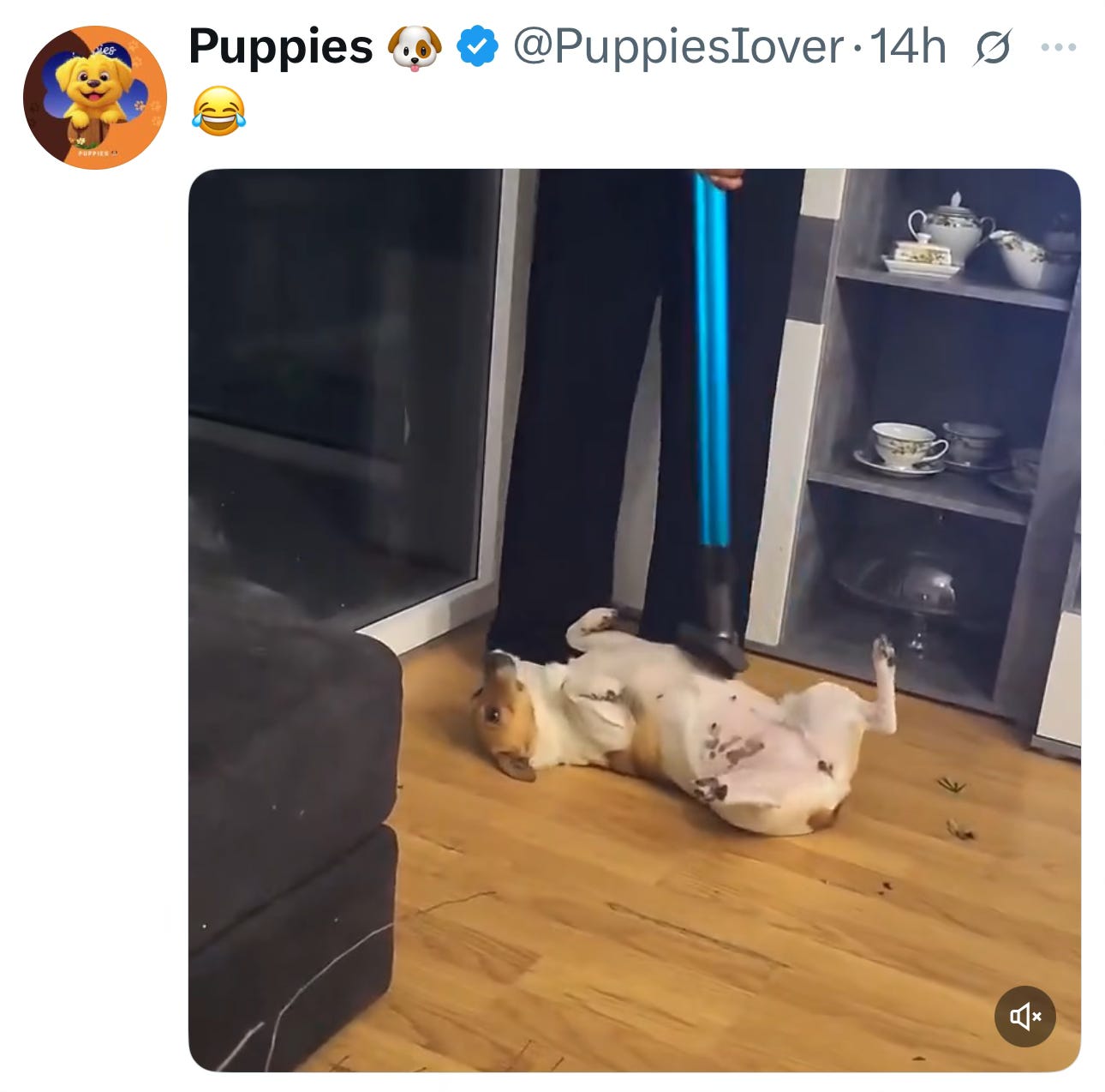 Image.heic Image.heic