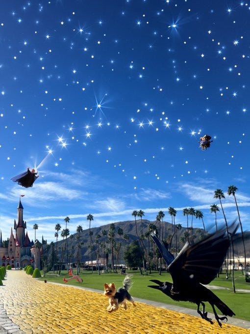 Wizard of Palm Springs