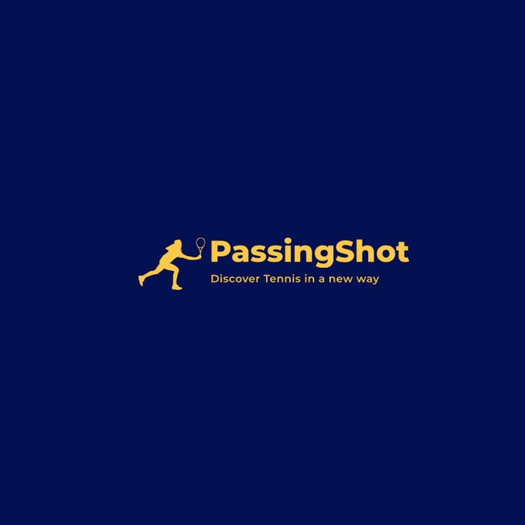 Artwork for Paul de Passingshot