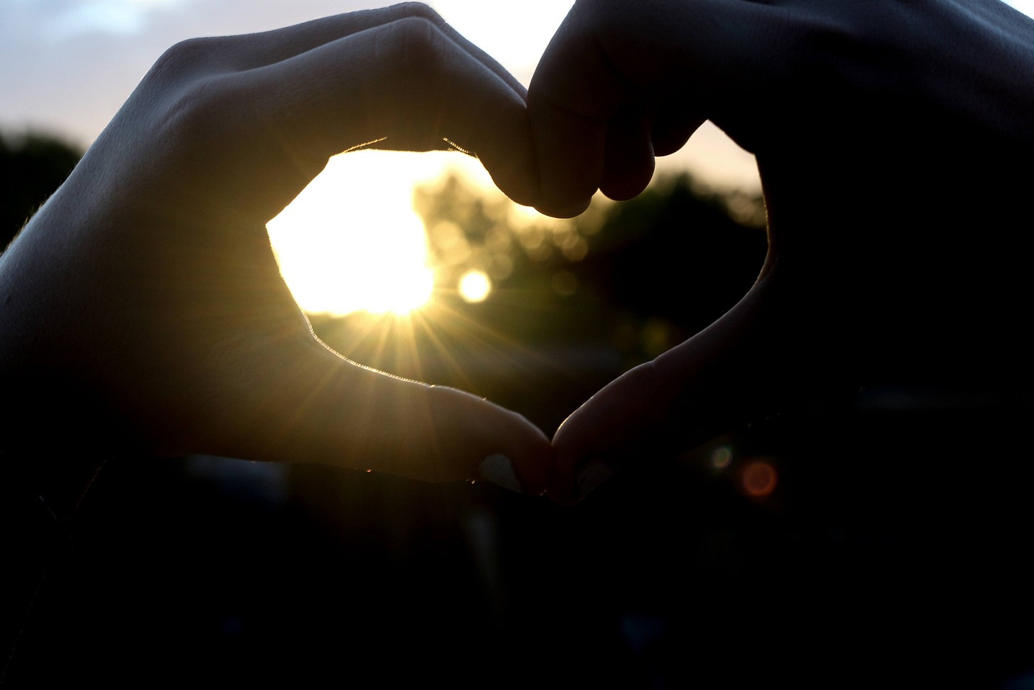 love, nature, growth, healing, nature shows us how to heal, learning to let go before the winter solstice
