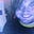 WORD VIRUSES's avatar