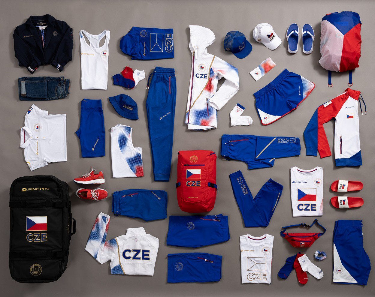 ALPINE PRO - Official partnership