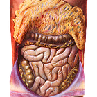 Digestion, Simplified