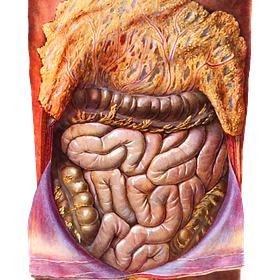 Digestion, Simplified