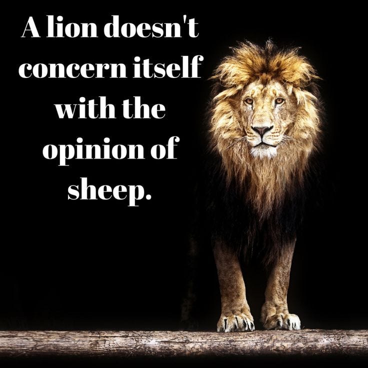 A lion doesn't concern itself with the opinion of sheep ...