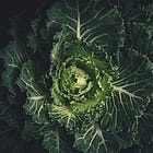 You Are What You Eat