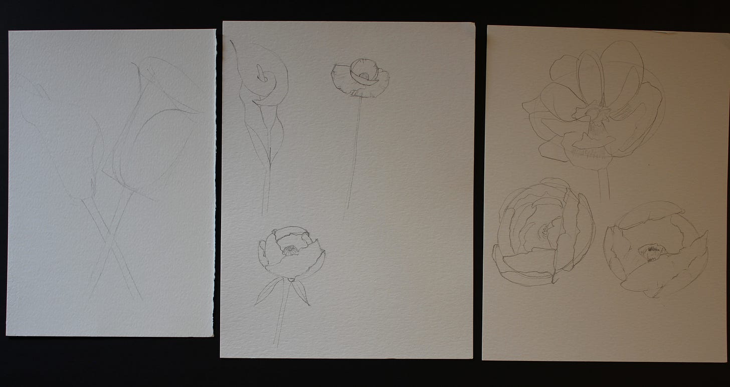 Pencil sketches of flower outlines, including lilies and peonies, drawn on white sketch paper for watercolor practice.