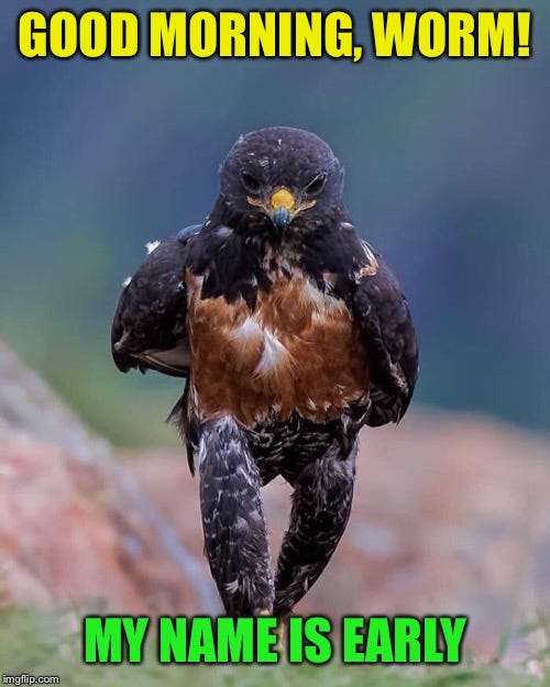 early bird Memes & GIFs - Imgflip