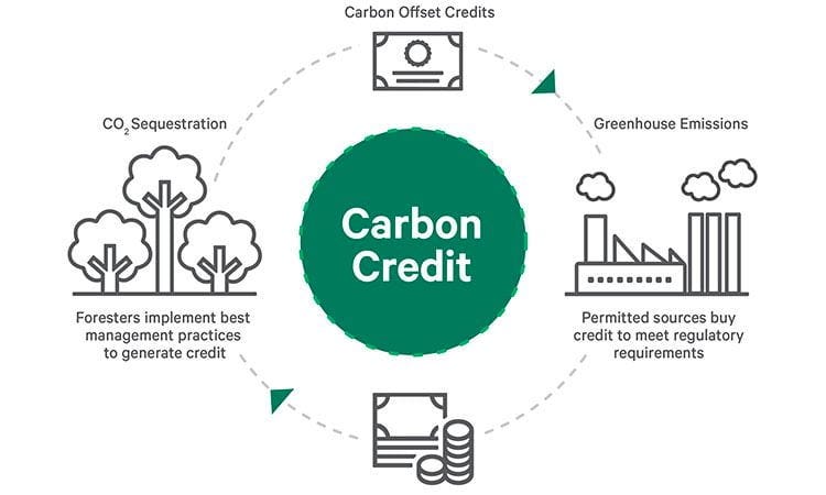 Do Carbon Credits Actually Offset Carbon Emissions? A Brief Look into ... Do Carbon Credits Actually Offset Carbon Emissions? A Brief Look into ...