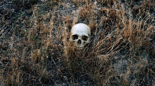 Laughing Everlastingly