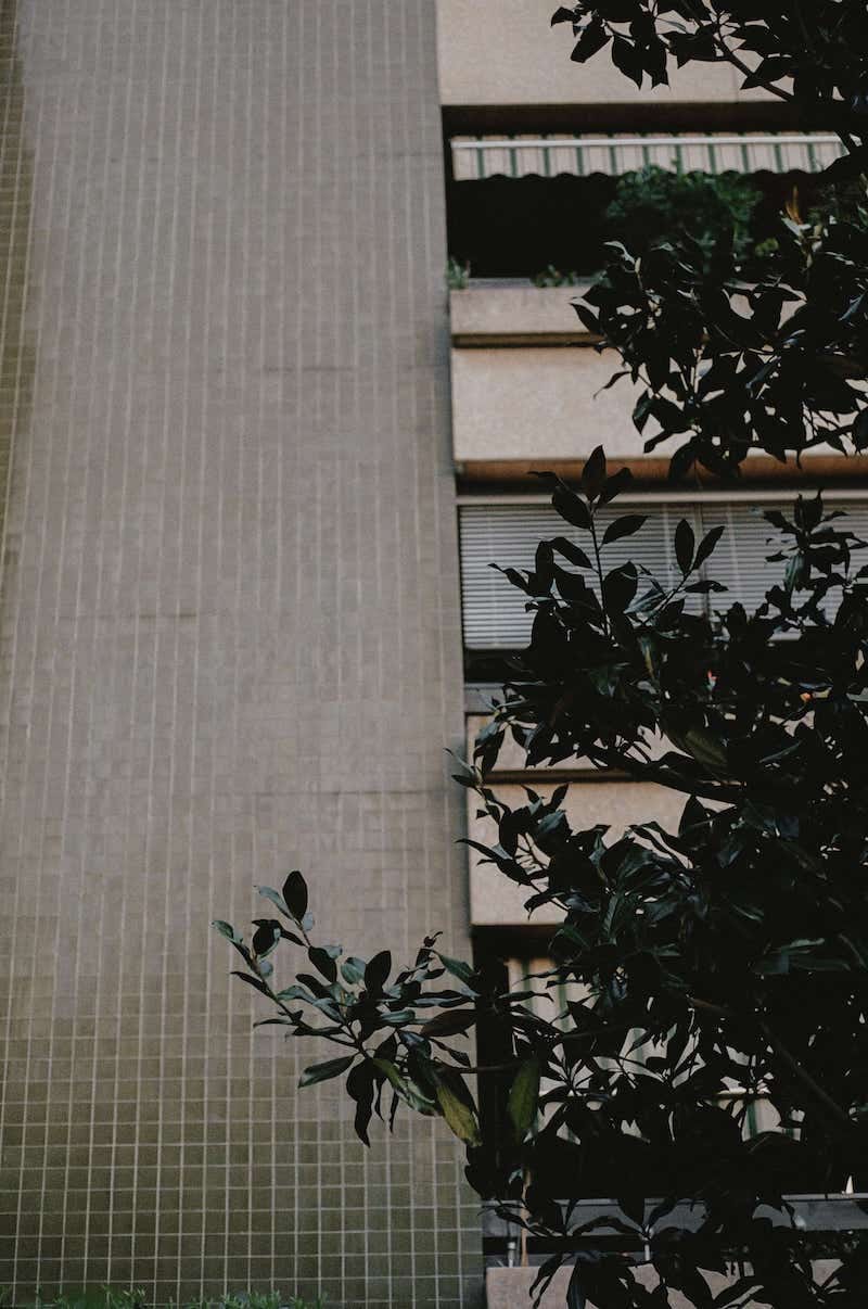 Blockhouse in South Tyrol, showing brick wall, a balcony, and a tree covering the front.
