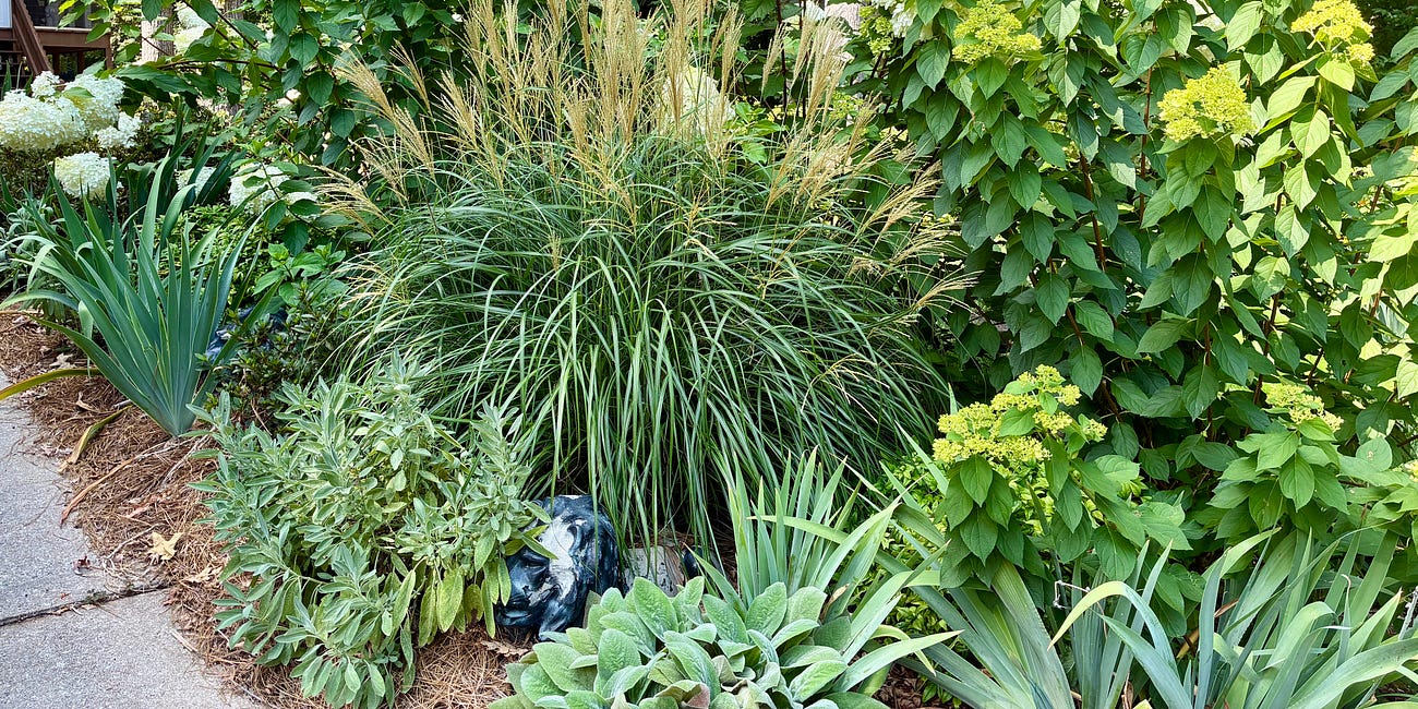 Fall is for planting... and sharing plants.
