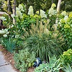Fall is for planting... and sharing plants.