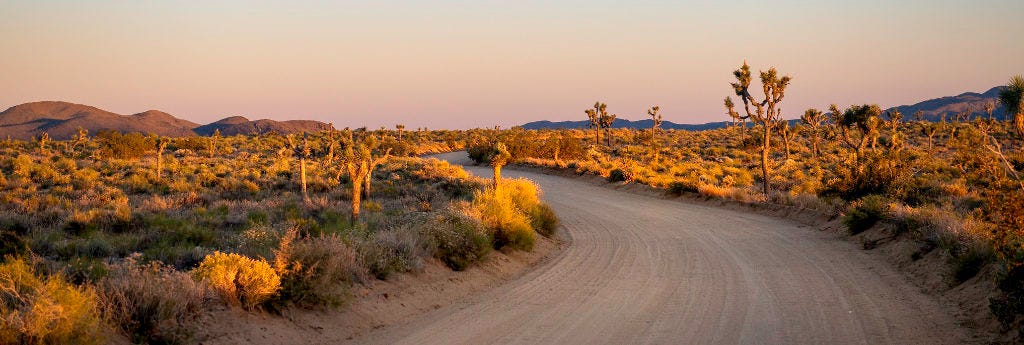 Joshua Tree National Park 2025 Visitor Travel Guide & Trip Planner
