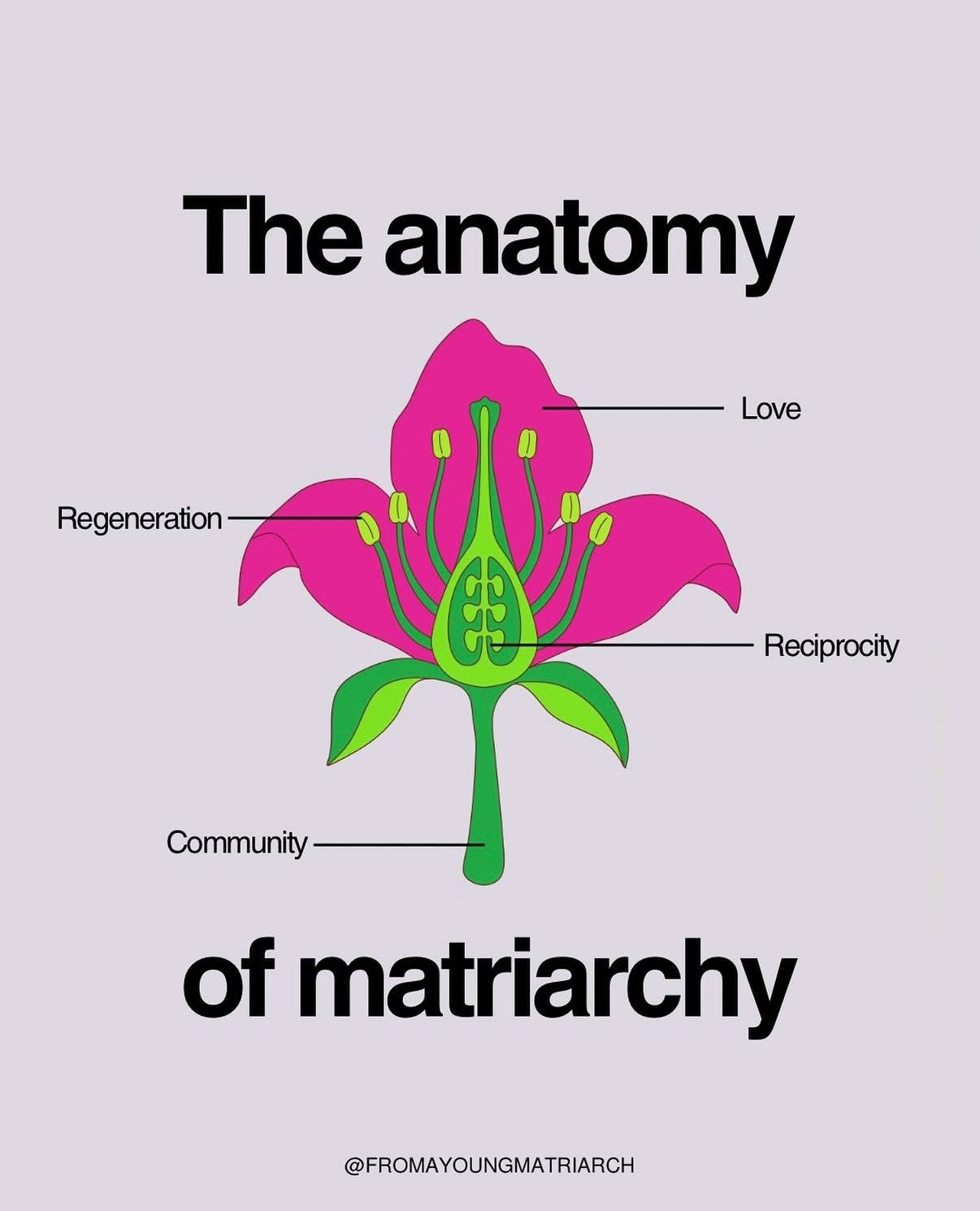 The anatomy of matriarchy: love, regeneration, reciprocity, and community. The anatomy of matriarchy: love, regeneration, reciprocity, and community.