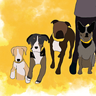 What I’d tell myself before fostering a dog