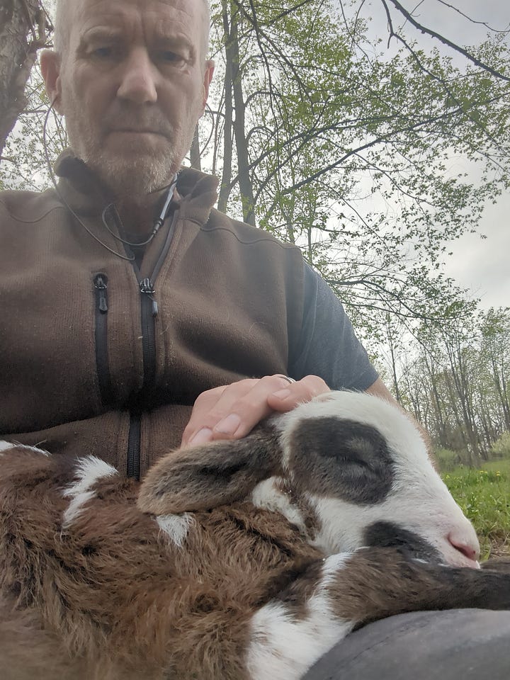 Colostrom from the mother within the first two hours of life is all-important