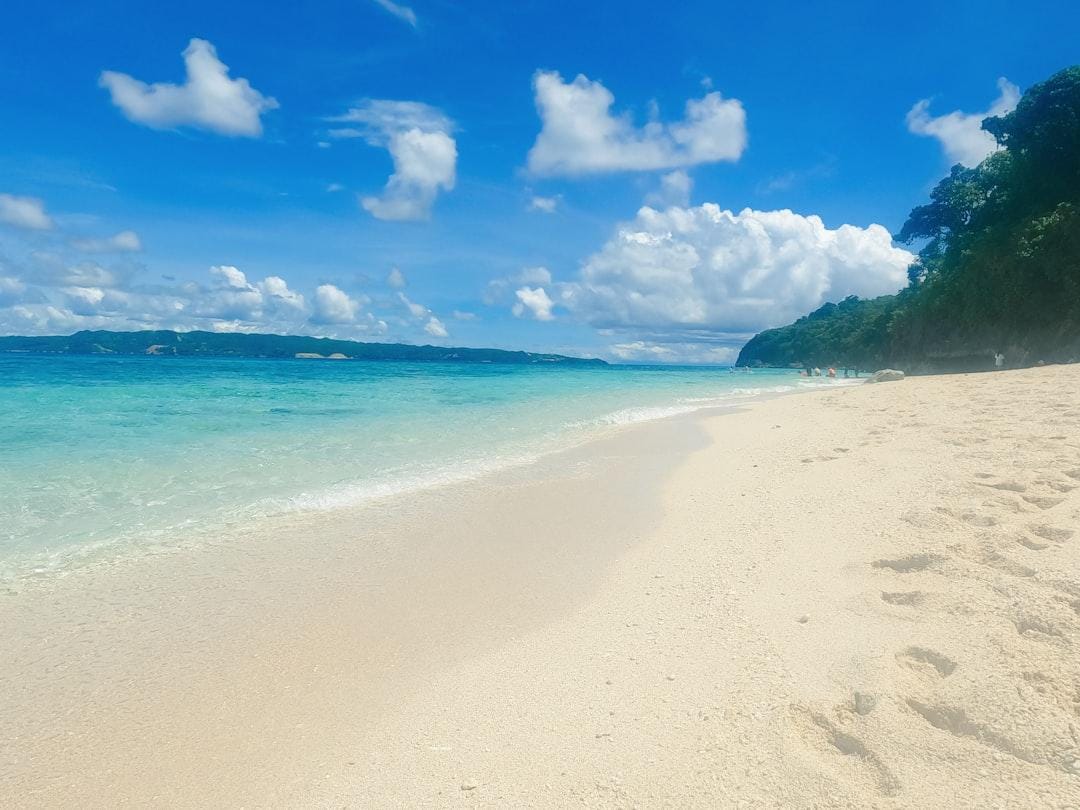 a sandy beach with blue water and trees on the side a sandy beach with blue water and trees on the side