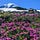 Beauback Mountain