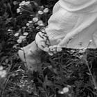 With Most Gentle Wishes - Chapter 4