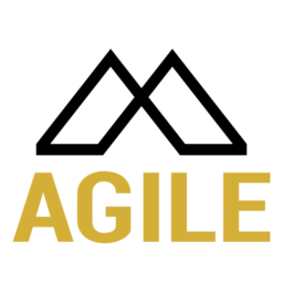 Substack profile picture for @agile