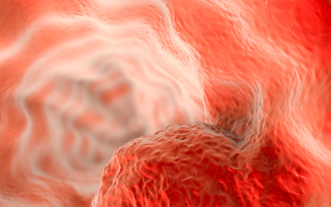 Is Cultivated Meat Made From Cancer Cells?