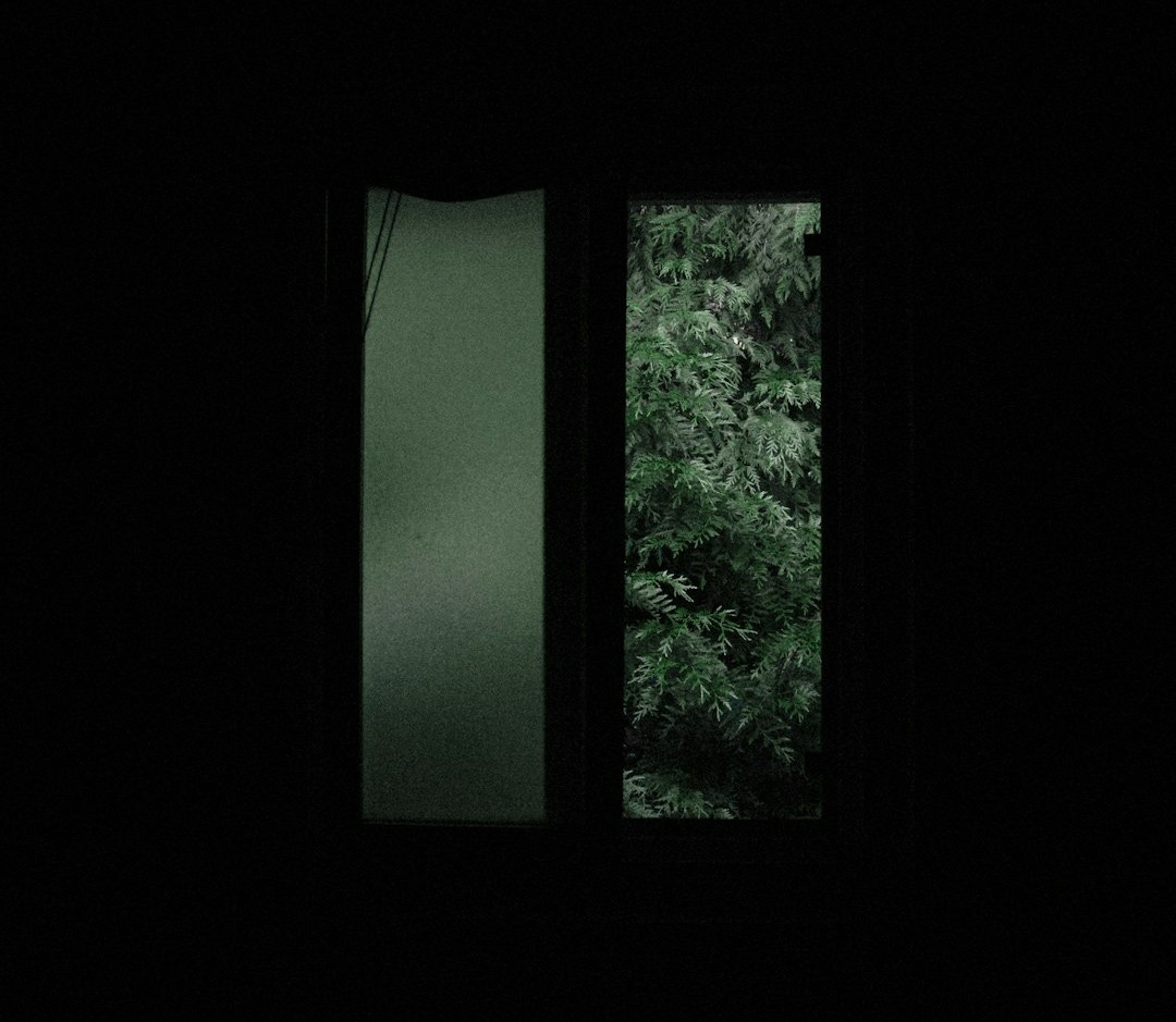 green trees in front of window