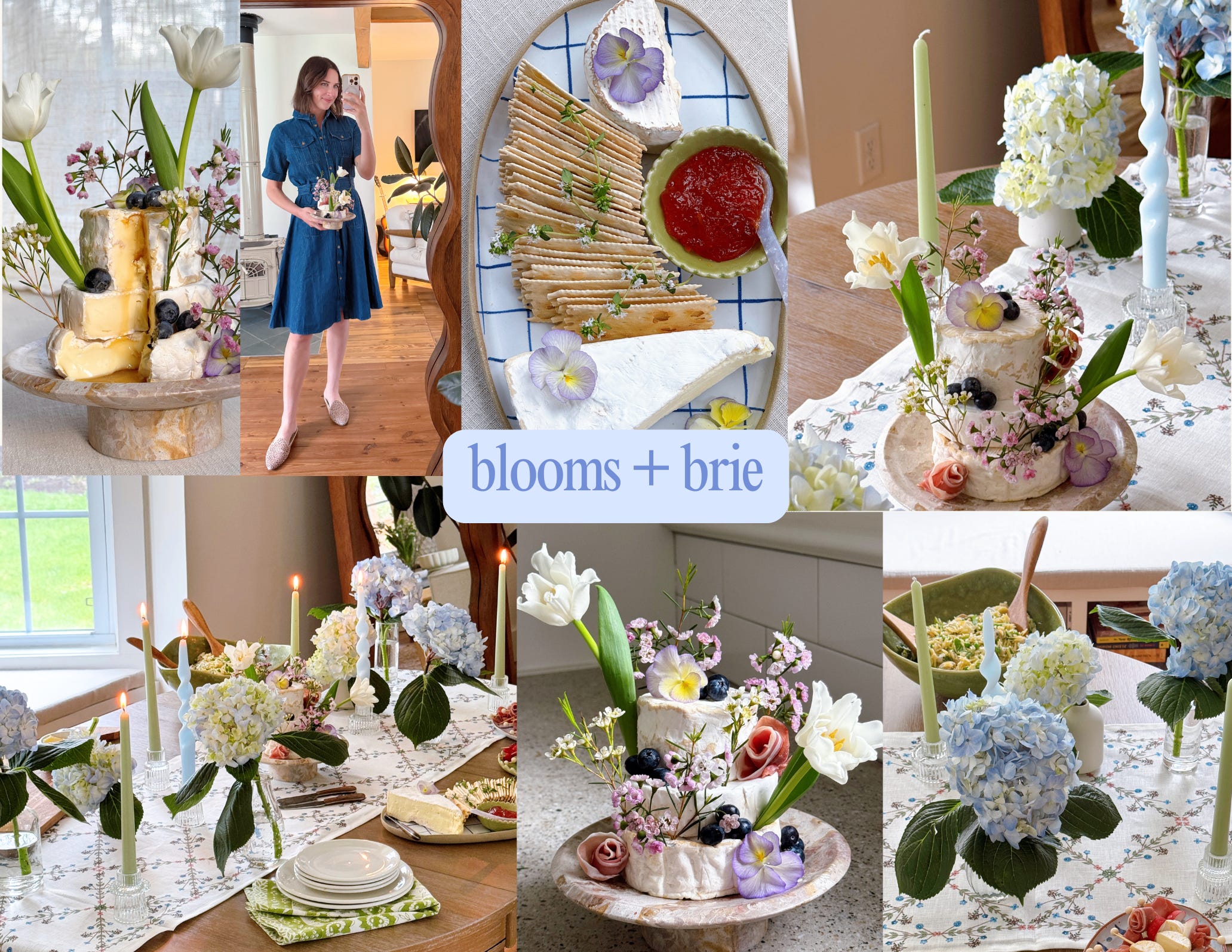 magicプレートカクテルローズヒップパリー Blooms + Brie - by Marissa Mullen - EXTRA SHARP